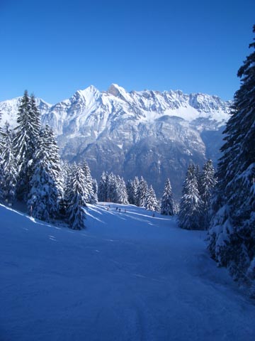skiing through the Mittenwald, Flumserberg, Switzerland  (2007)