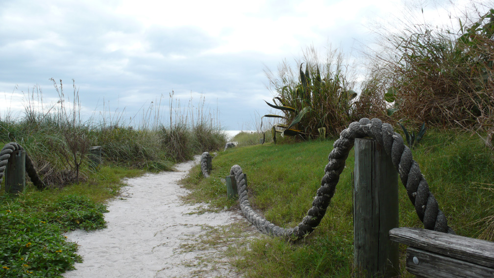 Walking the Path to the Beach (2011)