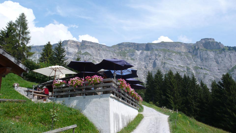 Terrace Restaurant in the Alps  (2008)